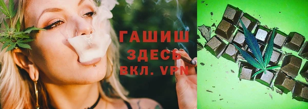 дживик Ельня