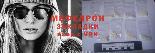 дживик Ельня