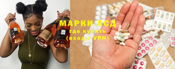 ГАЛЛЮЦИНОГЕННЫЕ ГРИБЫ Елабуга