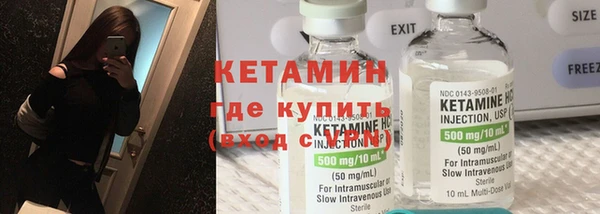 дживик Ельня
