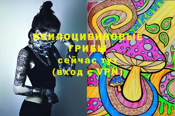 дживик Ельня