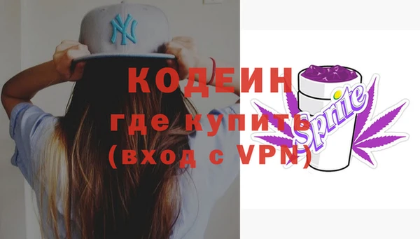 дживик Ельня