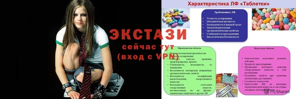 дживик Ельня