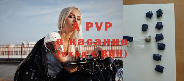 ГАЛЛЮЦИНОГЕННЫЕ ГРИБЫ Елабуга
