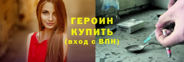 дживик Ельня