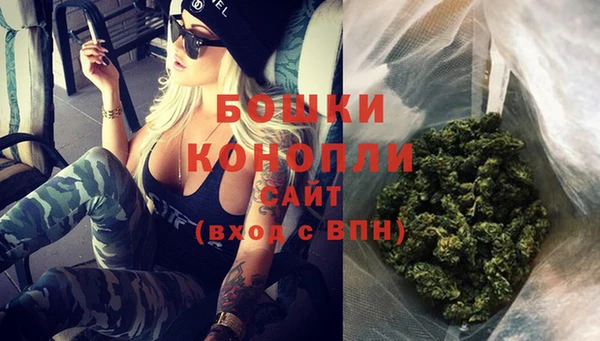 дживик Ельня