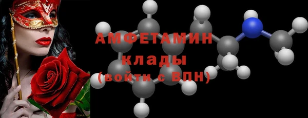 дживик Ельня