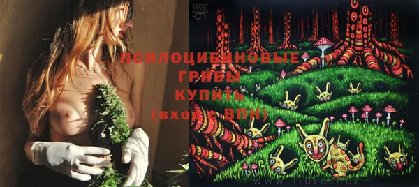 ГАЛЛЮЦИНОГЕННЫЕ ГРИБЫ Елабуга