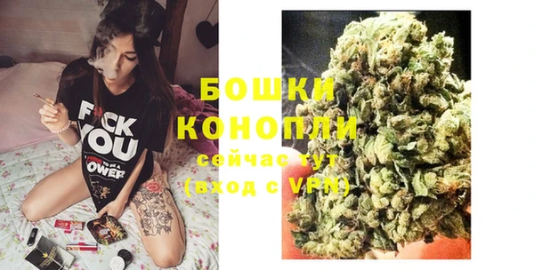 дживик Ельня