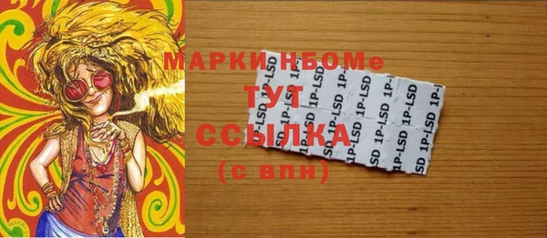 дживик Ельня