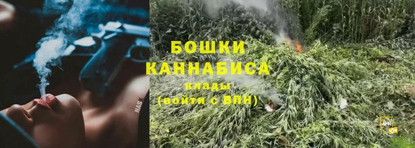 дживик Ельня