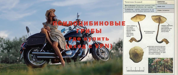apvp Елизово