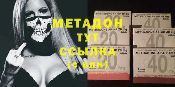 дживик Ельня