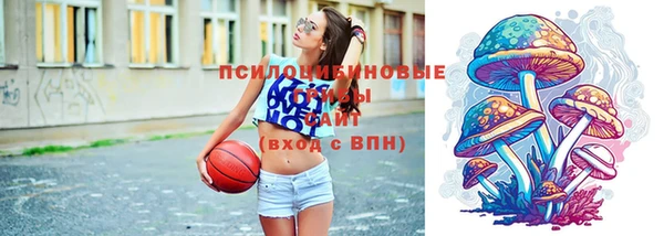 дживик Ельня