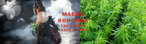 дживик Ельня