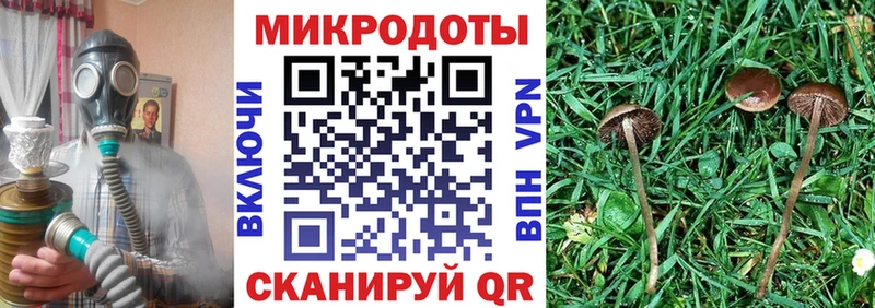 Псилоцибиновые грибы мухоморы  Зубцов 